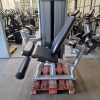 Leg Extension Matrix Versa