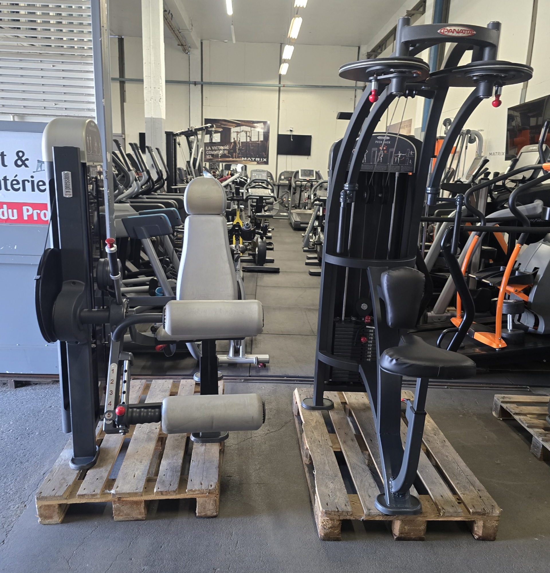 Alternative view of LOT DE MACHINES PANATTA X-PRESSION / CHEST PRESS / PECK BACK / SEATED LEG CURL