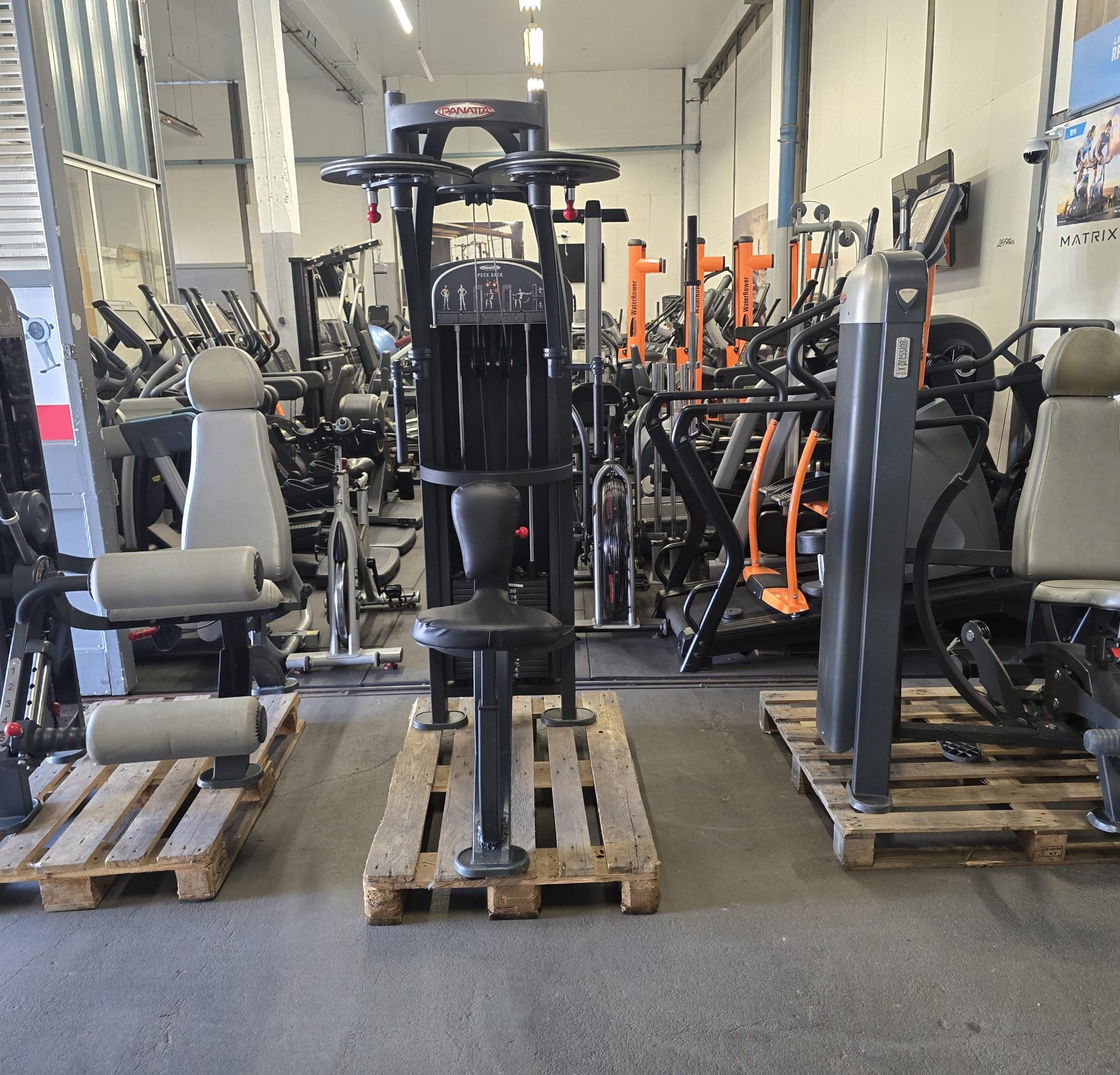 LOT DE MACHINES PANATTA X-PRESSION / CHEST PRESS / PECK BACK / SEATED LEG CURL