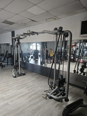 Cable Crossover Ajustable Technogym / Vis à vis Technogym Elément +